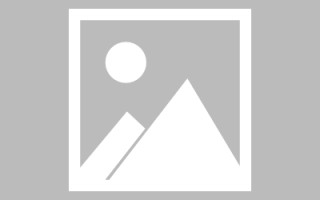 丹东编制网站建设（编制网站建设包括哪些）